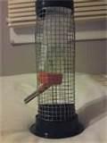 Water Bottle Bird Feeder Photos