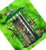 pictures of Finch Bird Feeders