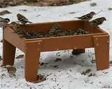 Ground Bird Feeders photos Ground Bird Feeders photos