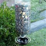 images of Bottle Bird Feeders