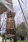 Bottle Bird Feeders pictures