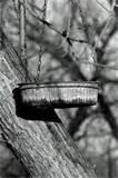 images of Bird Bath And Feeder images of Bird Bath And Feeder