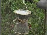 images of Ground Bird Feeders images of Ground Bird Feeders