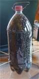 images of Pop Bottle Bird Feeder images of Pop Bottle Bird Feeder