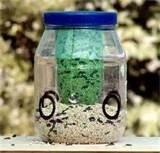 Bottle Bird Feeders images