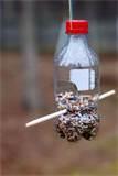 Bottle Bird Feeders photos