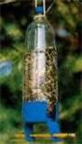 photos of Pop Bottle Bird Feeder