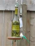 pictures of Bottle Bird Feeders