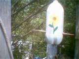 pictures of Pop Bottle Bird Feeder pictures of Pop Bottle Bird Feeder