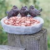 Bird Bath And Feeder photos Bird Bath And Feeder photos