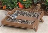 Ground Bird Feeders pictures Ground Bird Feeders pictures