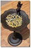 Standing Bird Feeder pictures Standing Bird Feeder pictures