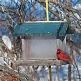 Bird Bath And Feeder