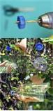 Diy Bird Feeder Pictures Diy Bird Feeder Pictures