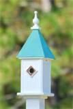 Blue Bird Feeders Blue Bird Feeders