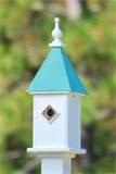 Blue Bird Feeders