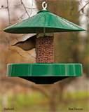 Images of Bird House Feeder Images of Bird House Feeder