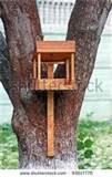 images of Blue Bird Feeders