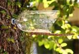 Pictures of Diy Bird Feeder