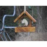 Photos of Bird Seed Feeder Photos of Bird Seed Feeder