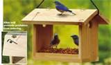 Blue Bird Feeders images