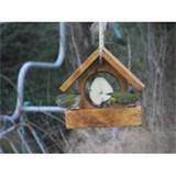 Bird Seed Feeder Images