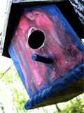 Pictures of Bird House Feeder Pictures of Bird House Feeder