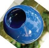 Blue Bird Feeders photos