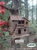 Bird House Feeder Photos