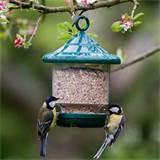 Pictures of Bird Seed Feeder