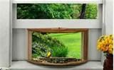 Bird House Feeder Photos Bird House Feeder Photos
