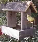 Bird Feeders Homemade Bird Feeders Homemade