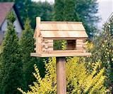 Large Bird Feeders Photos