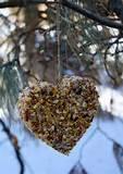 Pictures of Bird Feeders Homemade Pictures of Bird Feeders Homemade