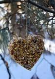 Pictures of Bird Feeders Homemade