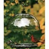 Cardinal Bird Feeder Photos Cardinal Bird Feeder Photos