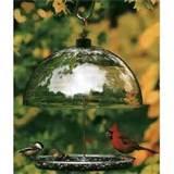 Cardinal Bird Feeder Photos