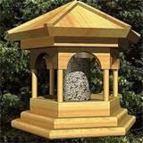 Large Bird Feeders Large Bird Feeders