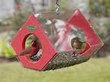 Images of Cardinal Bird Feeder Images of Cardinal Bird Feeder
