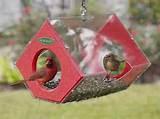 Images of Cardinal Bird Feeder