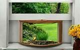 House Bird Feeder Images House Bird Feeder Images