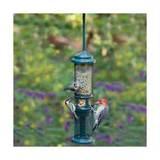 Images of Squirrel Buster Bird Feeder