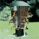 Large Bird Feeders Pictures