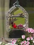 Photos of Large Bird Feeders Photos of Large Bird Feeders