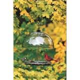 Cardinal Bird Feeder Images