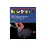 Hand Feeding Baby Birds Hand Feeding Baby Birds