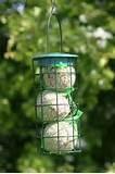 Large Bird Feeders Images