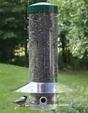 Large Bird Feeders