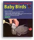 Pictures of Hand Feeding Baby Birds Pictures of Hand Feeding Baby Birds