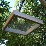 Images of Bird Feeder Tray Images of Bird Feeder Tray